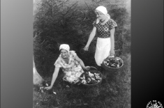 Hanna Gacek i Barbara Madejowicz - lata 40-te. (foto ze zbiorów B.Madejowicz)